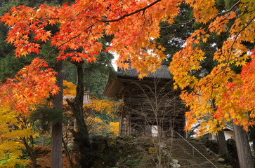 若狭小浜　明通寺の秋
