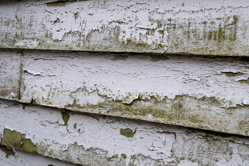 A horizontal wooden exterior wall, white color, of textured rough clapboard siding.  The wood is grainy and there are overlapping boards. The wall has bumps and uneven surfaces with peeling paint.