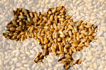 Defocus food crisis. Ukraine map. Global and European grain and wheat crisis in Ukraine. Export barley. Farming. Oats, barley, rye on ukrainian background. Wheat beer. Autumn harvest. Out of focus