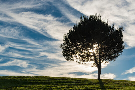 Contemplando el amanecer
