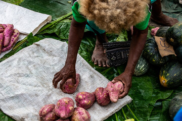 Selling Potatoes at the Market