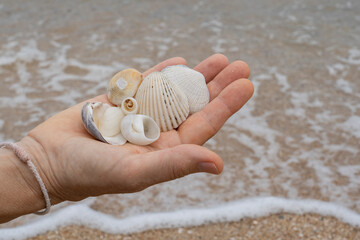 A woman holds empty shells of mollusk in her palm.