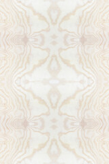 Fototapeta premium plywood texture with natural wood pattern. wood texture background