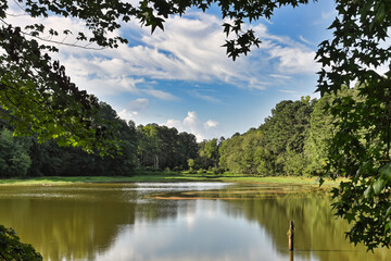 Fototapeta na wymiar A beautiful still pond with tree reflections and water spirals in HDR in the mountains of North Carolina.