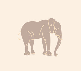 elephant isolated on white