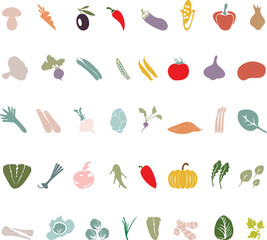 colored vegetables on a white background.