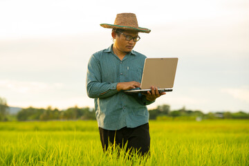 Farmer holding laptop for checking rice field in organic farm of agriculture