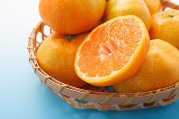 ハウスみかん　スタジオ撮影