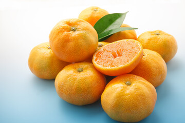 ハウスみかん　スタジオ撮影