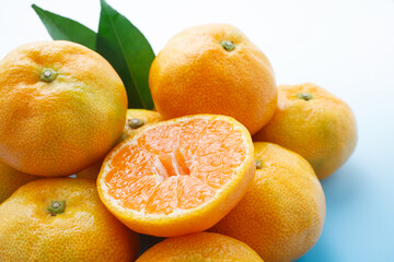 ハウスみかん　スタジオ撮影