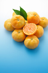 ハウスみかん　スタジオ撮影