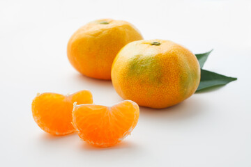 ハウスみかん　スタジオ撮影