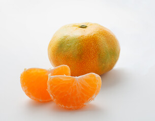 ハウスみかん　スタジオ撮影