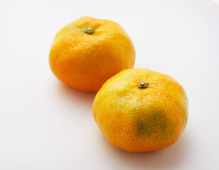 ハウスみかん　スタジオ撮影