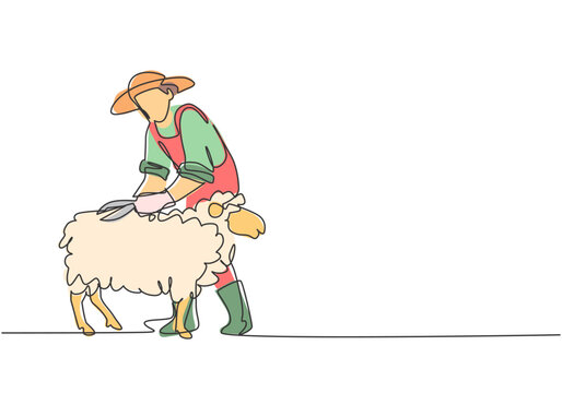 Continuous one line drawing young male farmer was carefully shearing the fleece using scissors. Successful farming challenge minimalist concept. Single line draw design vector graphic illustration.