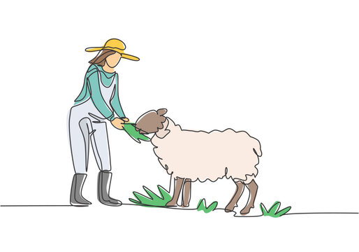 recommend clip art: Single continuous line drawing young female farmer is feeding the sheep so that the sheep will be healthy and produce best meat. Minimalism concept. One line draw graphic design vector illustration.