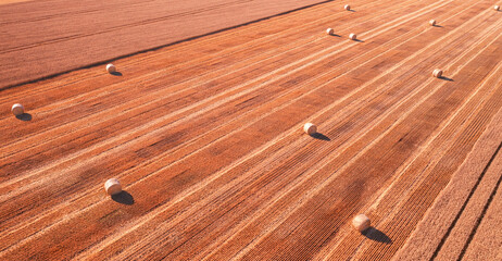 Fototapeta premium Round bales on the field. View from a drone.