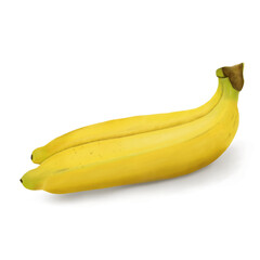 Ripe Banana Fruit Painting