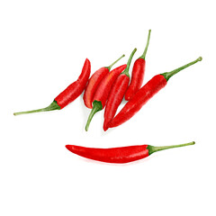 Red Hot Chili Painting