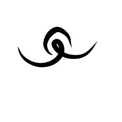 Calligraphic swirl flourish. Modern swirling flourishes, romantic card decorative swirl and wedding card decor curls swirles dividers vector set. Black curly thin lines, filigree ornaments collection