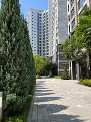 a path with trees and it&rsquo;s shadow in the apartment complex in South Korea