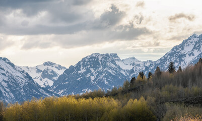 Fototapeta premium Snow Covered Mountains in American Landscape. Spring Season. Grand Teton National Park. Sunset Sky. Wyoming, United States. Nature Background.