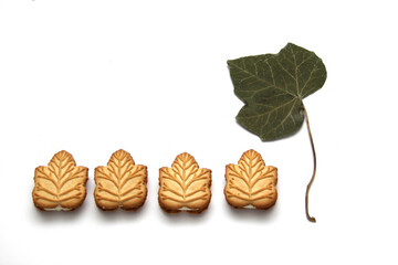 Delicious cookies filled with vanilla cream made with honey or maple syrup from Canadian trees, the traditional sweet of Canada with dry leaves on white background