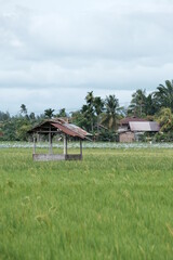 A hut where farmers rest in the middle of a stretch