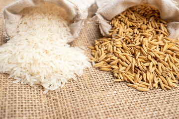 Paddy rice and white rice in burlap sack bag on burlap background.