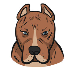 Fototapeta premium American pit-bull dog face cartoon 
