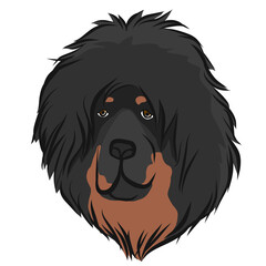 Tibetan Mastiff dog face cartoon