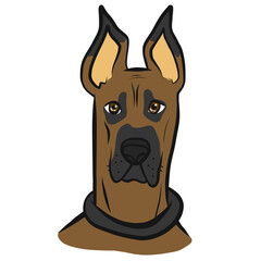 Great Dane dog face cartoon - obrazy, fototapety, plakaty