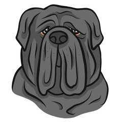 Neapolitan Mastiff dog face cartoon 