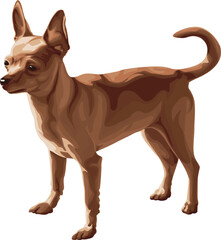 Chihuahua dog color illustration. Chihuahua clipart. 
Chihuahua vector graphic on transparent background, dog vector.
