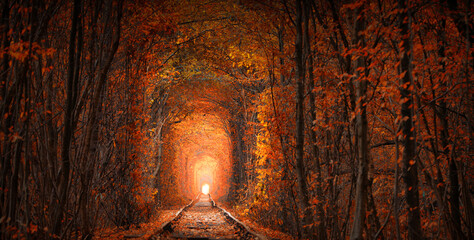 Autumn tunnel of love. City of Klevan, Ukraine
