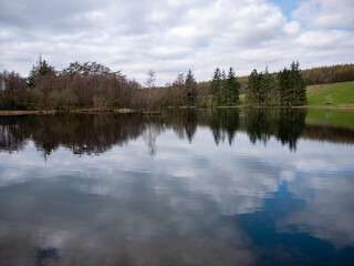 Fototapeta na wymiar lake in the forest, Lake District, United Kingdom
