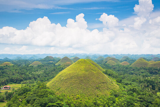 An image of beautiful chocolate hills, blue sky, clouds, and a small house to display the size of hills, Bohol island, Philippines