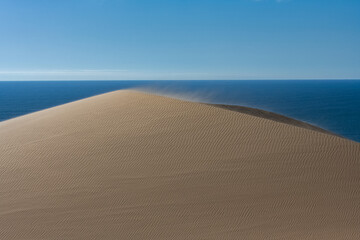 Namibia, the Namib desert, landscape of yellow dunes falling into the sea, the wind blowing on the sand  © Pascale Gueret