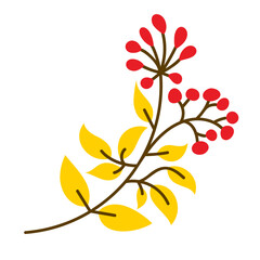Simple floral vector illustration. Branches with autumn leaves. Black silhouette on a white background. Elements for autumn design, decoration, pattern making.