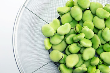 A heap of fresh harvested broad beans in a stainless steel mesh strainer or net. Broadbean also...