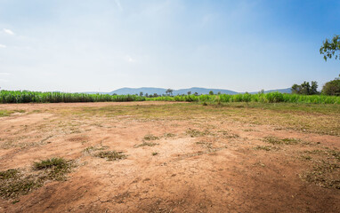 Fototapeta na wymiar Empty dry cracked swamp reclamation soil, land plot for housing construction project with car tire print in rural area and beautiful blue sky with fresh air Land for sales landscape concept.