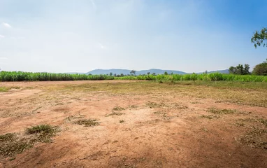 Fotobehang Empty dry cracked swamp reclamation soil, land plot for housing construction project with car tire print in rural area and beautiful blue sky with fresh air Land for sales landscape concept. © Puttachat