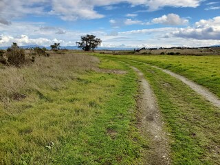 path in the field