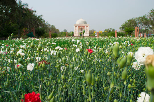 Landscape of Sunder Nursery, It is a 16th Century Heritage Park. A UNESCO Heritage Site of New Delhi , India.
