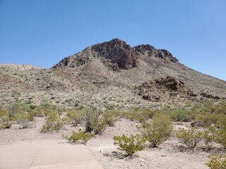 landscape in the desert
