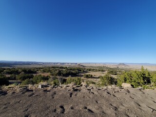 landscape in the desert