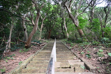静岡県になる雲見浅間神社の長く続く参道