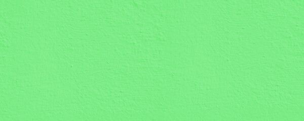 Green Emulsion wall paint texture rectangle background