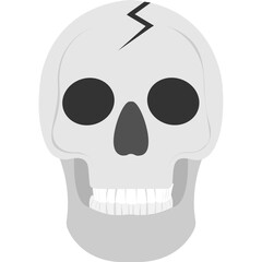 Scary Skull Flat Icons