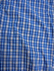 Blue gingham tablecloth background or texture .